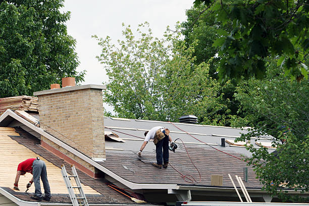 Best Shingle Roofing Installation  in Mcalmont, AR