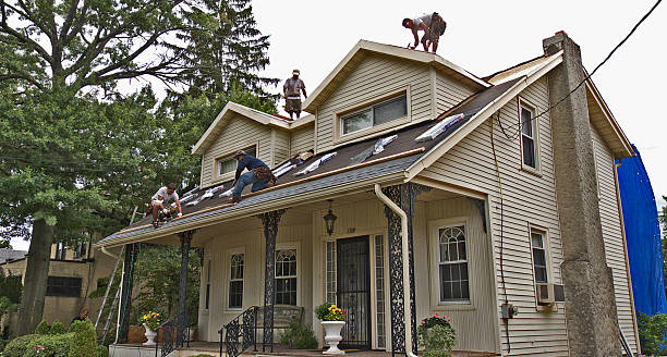 Best Roof Gutter Cleaning  in Mcalmont, AR