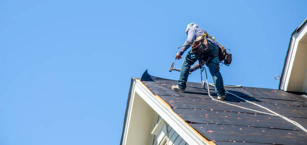 Best Metal Roofing Contractor  in Mcalmont, AR